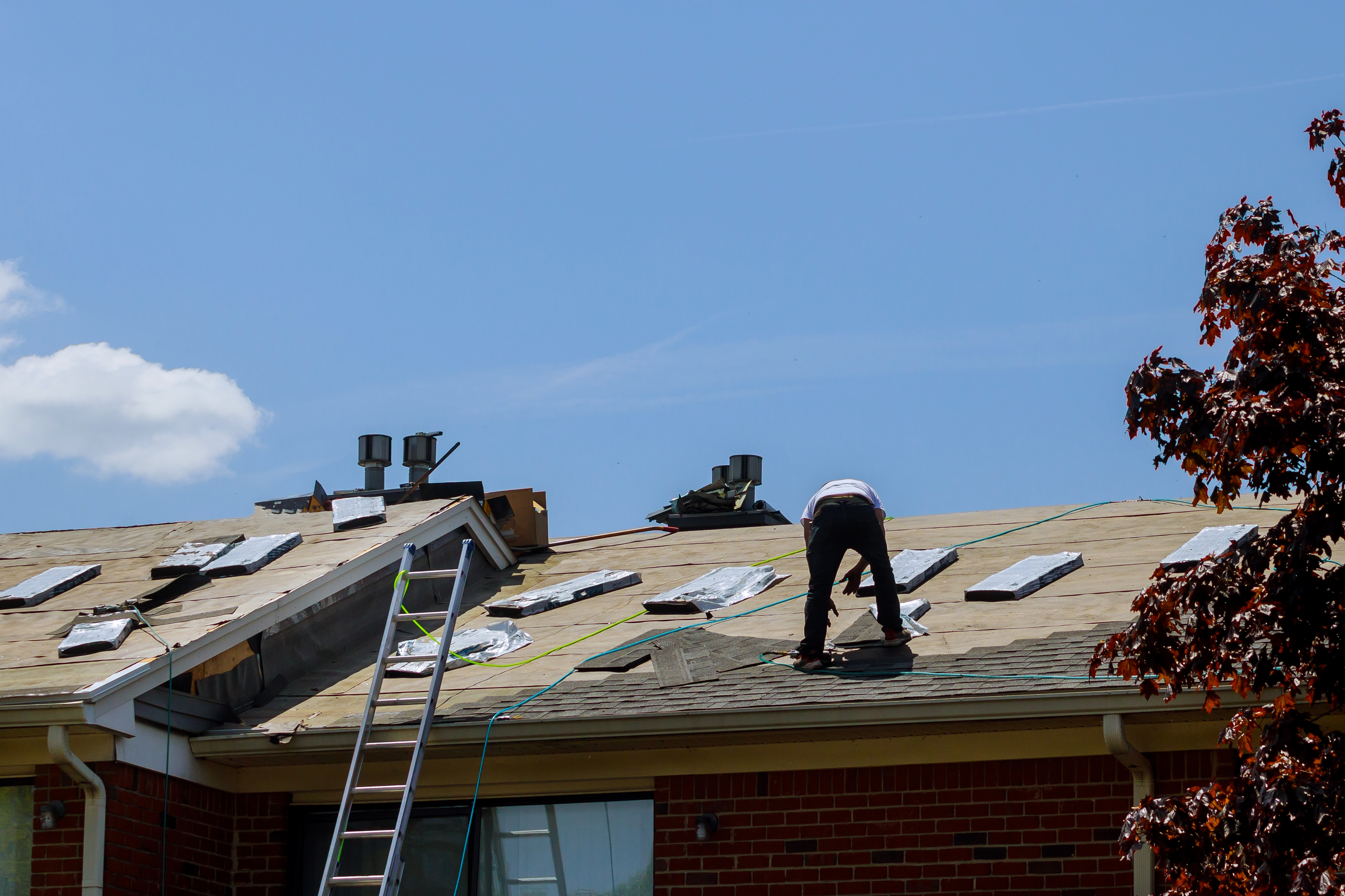Signs that You Need Roof Repairs